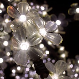 Лампа светодиодная Black 2Вт капсульная 3000К тепл. бел. G4 190лм DC 12В GAUSS 207707102