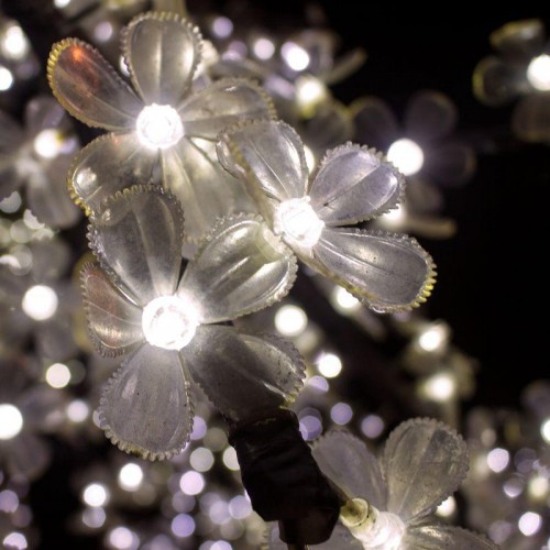 Лампа светодиодная Black 2Вт капсульная 3000К тепл. бел. G4 190лм DC 12В GAUSS 207707102