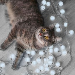 Гирлянда светодиодная садовая Solar 