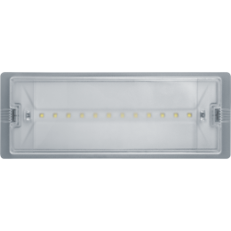 Светильник светодиодный 95 290 NEF-19 6Вт IP65 100лм 220-240В аккум. LiFePO4 600mAh аварийно-эвакуационный Navigator 95290
