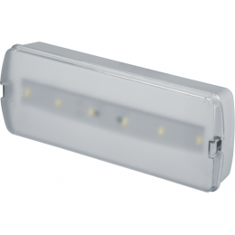 Светильник светодиодный 95 294 NEF-21 5Вт 300лм 220-240В IP20 акк. LiFePO4 1800мА.ч аварийно-эвакуационный NAVIGATOR 95294