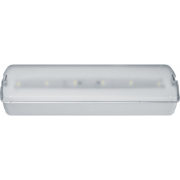 Светильник светодиодный 95 294 NEF-21 5Вт 300лм 220-240В IP20 акк. LiFePO4 1800мА.ч аварийно-эвакуационный NAVIGATOR 95294