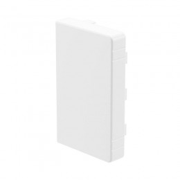 Заглушка для кабель-канала LAN 100х60 DKC 00874