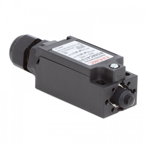 Выключатель концевой с двумя нормально закрытыми контактами (NC+NC) исполнение с кнопкой DKC R5MC4131