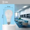 Лампа светодиодная A65-25W-860-E27 грушевидная 2000лм Эра Б0035336