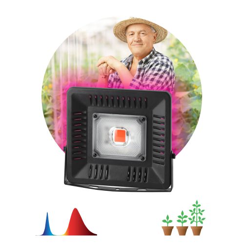 Прожектор светодиодный для растений FITO-50W-LED BLUERED 50Вт IP65 220-240В -30град. до + 45град. 30000ч для цветения и плодоношения красно-синего спектра ЭРА Б0039033