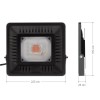 Прожектор светодиодный для растений FITO-50W-LED BLUERED 50Вт IP65 220-240В -30град. до + 45град. 30000ч для цветения и плодоношения красно-синего спектра ЭРА Б0039033