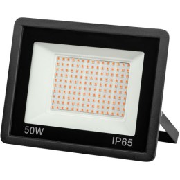 Прожектор светодиодный для растений FITO-50W-RB-LED 50Вт IP65 для цветения и плодоношения красно-синего спектра ЭРА Б0046368