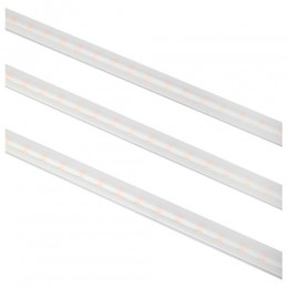 Светильник модульный для растений FITO-3х10W-LINE-RB90 30Вт красно-синего спектра ЭРА Б0050924