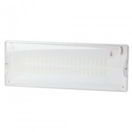 Светильник светодиодный DPA-301-1-65 IP65 40LED 3ч аварийный постоянный Эра Б0051843