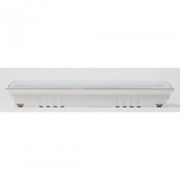 Светильник светодиодный DPA-301-1-65 IP65 40LED 3ч аварийный постоянный Эра Б0051843