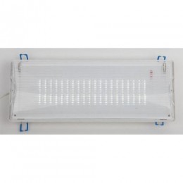 Светильник светодиодный DPA-301-1-65 IP65 40LED 3ч аварийный постоянный Эра Б0051843