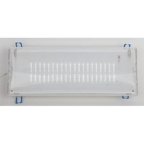 Светильник светодиодный DPA-301-1-65 IP65 40LED 3ч аварийный постоянный Эра Б0051843