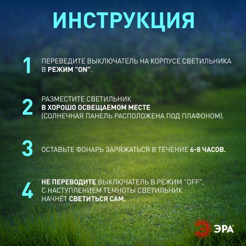 Светильник садовый Камыши высота 60см 5LED на солнечной батарее (уп.5шт) Эра Б0062359