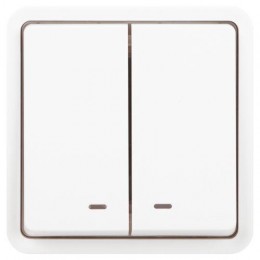 Выключатель Эксперт 11-1525-01 двойн. с подсветкой IP55 10АХ-250В СУ бел. Эра Б0063304