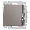 Переключатель 1-кл. СП Accent 6-103-09 10А IP20 250В AL/CU титан Intro Б0063451