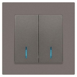 Выключатель 2-кл. СП Accent 6-105-09 10А IP20 250В с подсветкой AL/CU титан Intro Б0063525