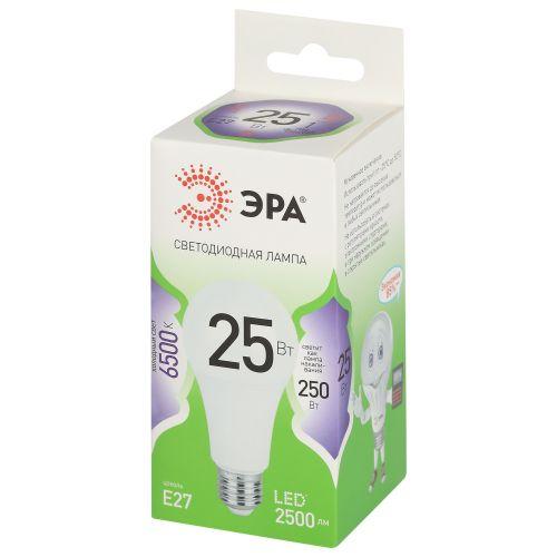 Лампа светодиодная GREEN LINE A60-25W-865-E27 GL 25Вт груша 6500К свет холод. E27 Эра Б0067111