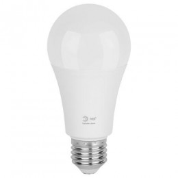 Лампа светодиодная GREEN LINE A60-25W-865-E27 GL 25Вт груша 6500К свет холод. E27 Эра Б0067111