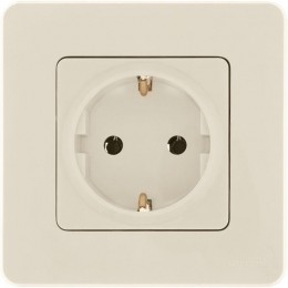 Розетка 1-м СП Inspiria 16А IP20 250В 2P+E немецк. стандарт механизм сл. кость Leg 673721