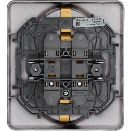 Розетка Inspiria 16А 250В 2х2P+E немецк. стандарт антрацит Leg 673753