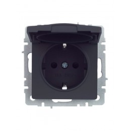 Розетка BRITE РСбш10-3-44-БрГ 16А IP44 с заземл. защ. шторки с крышкой механизм графит IEK BR-R16-16-44-K53