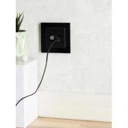 Розетка компьютерная + телевизионная 2-м Brite РТВ/РК12-БрЧ RJ45 кат.5E + TV механизм черн. IEK BR-AK20-1-K02