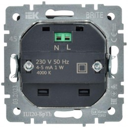 Подсветка светодиодная BRITE встраив. ПЛ20-БрТБ механизм бронза IEK BR-FL20-K45