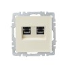 Розетка компьютерная двойн. СП RJ45 кат.5E BRITE РК10-2-БрКр механизм беж. IEK BR-K20-1-K10