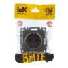 Розетка BRITE РС14-1-0-БрШ 16А с заземл. защ. шторки механизм шампань IEK BR-R14-16-K37