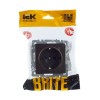 Розетка 1-м СП BRITE РС14-1-0-БрТБ 16А с заземл. защ. шторки механизм бронза IEK BR-R14-16-K45