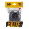 Розетка 1-м СП BRITE РС14-1-0-БрС 16А с заземл. защ. шторки механизм сталь IEK BR-R14-16-K46