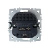 Розетка BRITE РЮш10-1-БрГ 16А с USB A+A 2.1А с заземл. защ. шторки механизм графит IEK BR-R14-16-U21-D21-K53