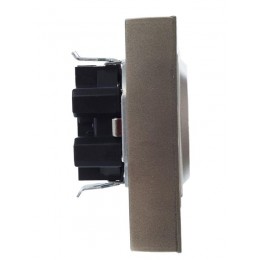 Розетка 2-м СП BRITE РСш12-3-БрШ 16А в сборе с заземл. защ. шторки шампань IEK BR-R24-16-K37-F