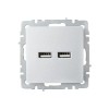 Розетка BRITE USB A+A 3.1А РЮ10-1-БрА механизм алюм. IEK BR-U21-D31-K47
