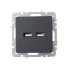 Розетка BRITE USB A+A 3.1А РЮ10-1-БрГ механизм графит IEK BR-U21-D31-K53