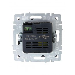 Розетка BRITE USB A+A 3.1А РЮ10-1-БрГ механизм графит IEK BR-U21-D31-K53