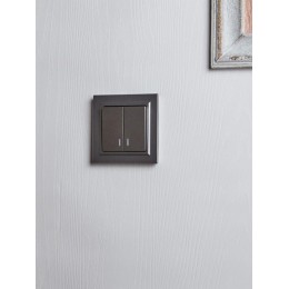 Выключатель 2-кл. СП BRITE ВС10-2-1-БрС 10А с индик. механизм сталь IEK BR-V20-1-10-K46