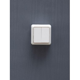 Выключатель 2-кл. ОП Октава 10А IP20 ВС20-2-0-ОБ 250В бел. IEK EVO20-K01-10-DC