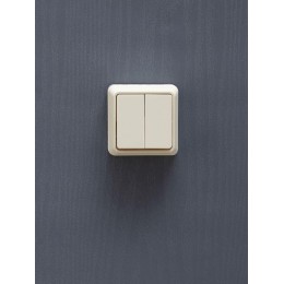 Выключатель 2-кл. ОП Октава 10А IP20 ВС20-2-0-ОКм крем. IEK EVO20-K33-10-DC