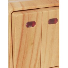 Выключатель 2-кл. ОП Октава 10А IP20 ВС20-2-1-ОС с индикацией сосна IEK EVO21-K03-10-DC