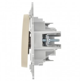 Выключатель 2-кл. СП FLITE ВС12-1-0-ФлСл 10А механизм сливочный IEK FI-V20-0-10-1-K86