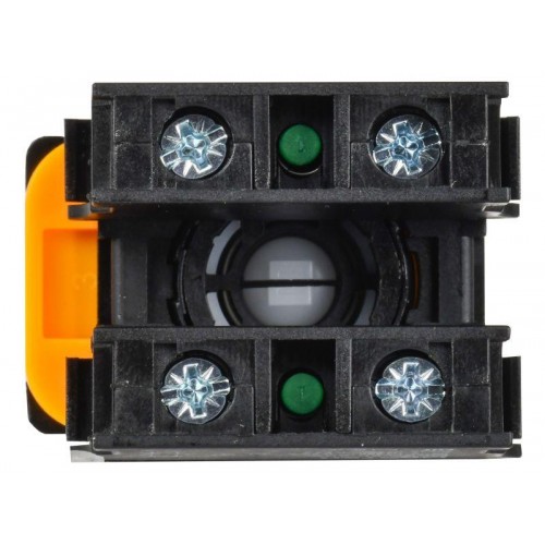 Переключатель 2 полож. 1НО+1НЗ с ключом черн. MASTER IEK MI-SW60-11Y-3-34-2-K02