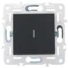 Выключатель проходной 1-кл. SKANDY 10А SK-V08G с индикацией графит IEK SK-V12-1-10-K53
