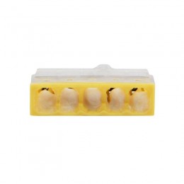 Экспресс-клемма строительно-монтажная СМК 2273-245 5-проводная 0.5-2.5кв.мм с пастой (уп.100шт) Rexant 07-3219