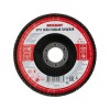 Круг лепестковый торцевой P 80 125х22.2мм Rexant 90-0014