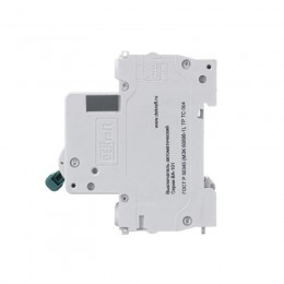 Выключатель автоматический модульный 2п C 10А 4.5кА ВА-101 DEKraft 11065DEK