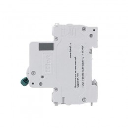 Выключатель автоматический модульный 2п C 25А 4.5кА ВА-101 DEKraft 11068DEK