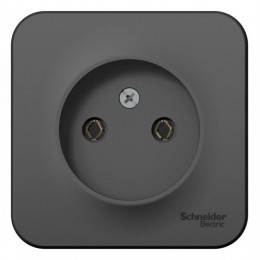 Розетка 1-м ОП Blanca 16А IP20 250В без заземл. без защ. шторок антрацит SE BLNRA000106