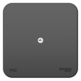 Коробка распределительная ОП Blanca IP42 антрацит SE BLNRK000016